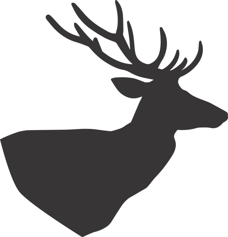 deer, deer silhouette, silhouette-1529439.jpg