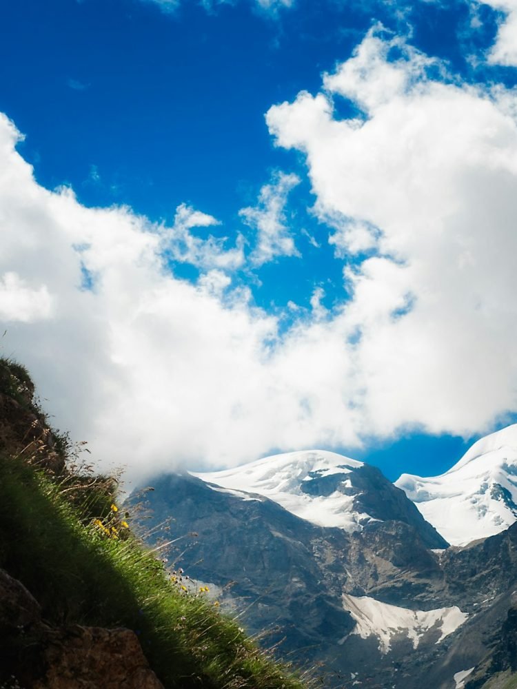 ibex at high altitude